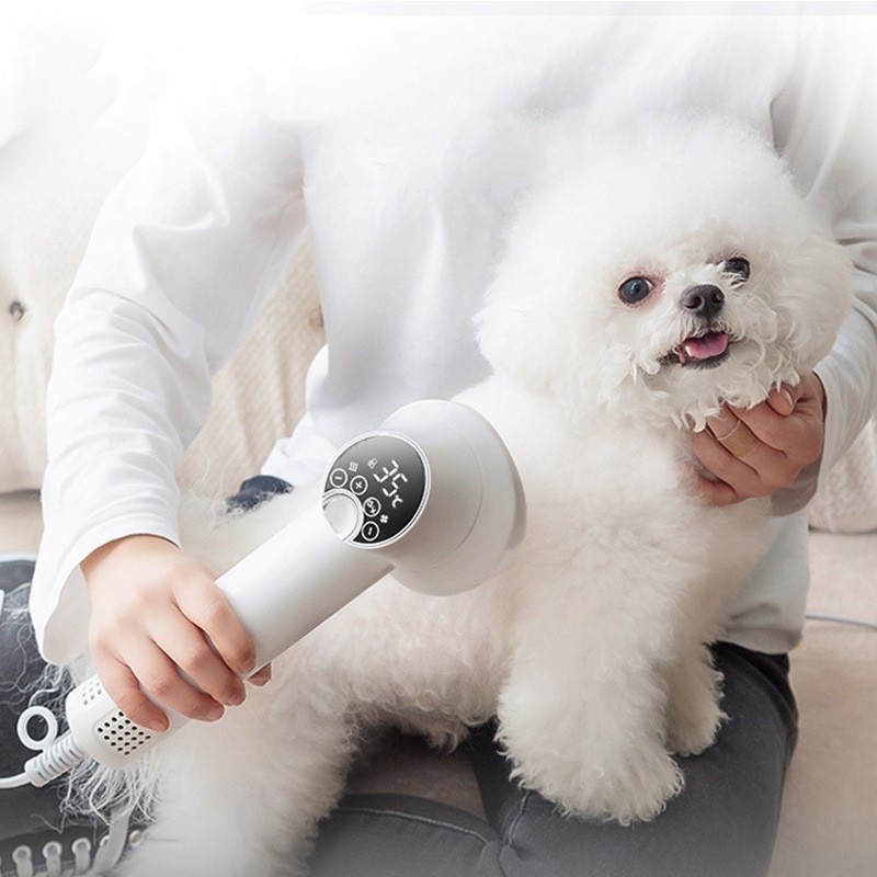 Smart Pet Hair Dryer Dog Golden Retriever Cat Grooming Hairdressing Blow & Comb Silent No Harm Pet Cleaning Supplies Pet Products - Image 7
